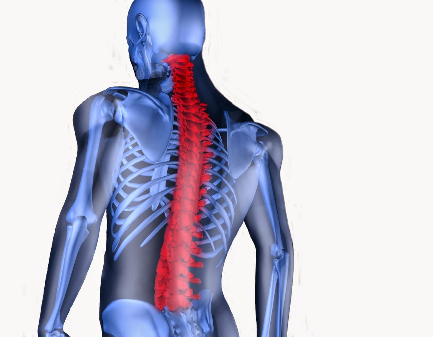 A Healthy Spine Makes For A Happy Individual Seeing A Spine Specialist