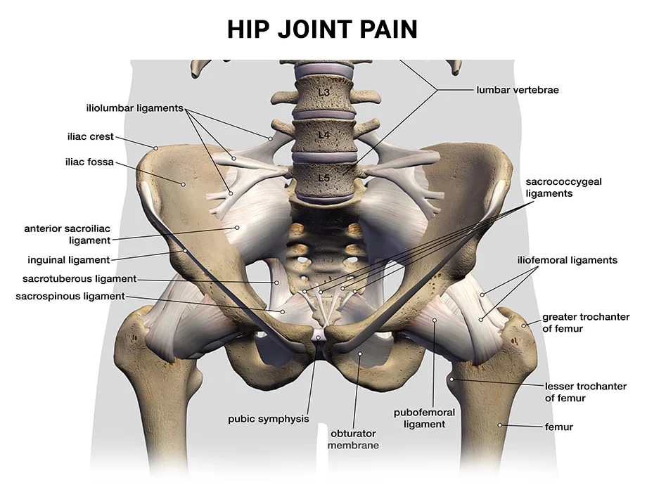 Is Hip Pain The Same as Herniated Disc Pain | New York Pain Care